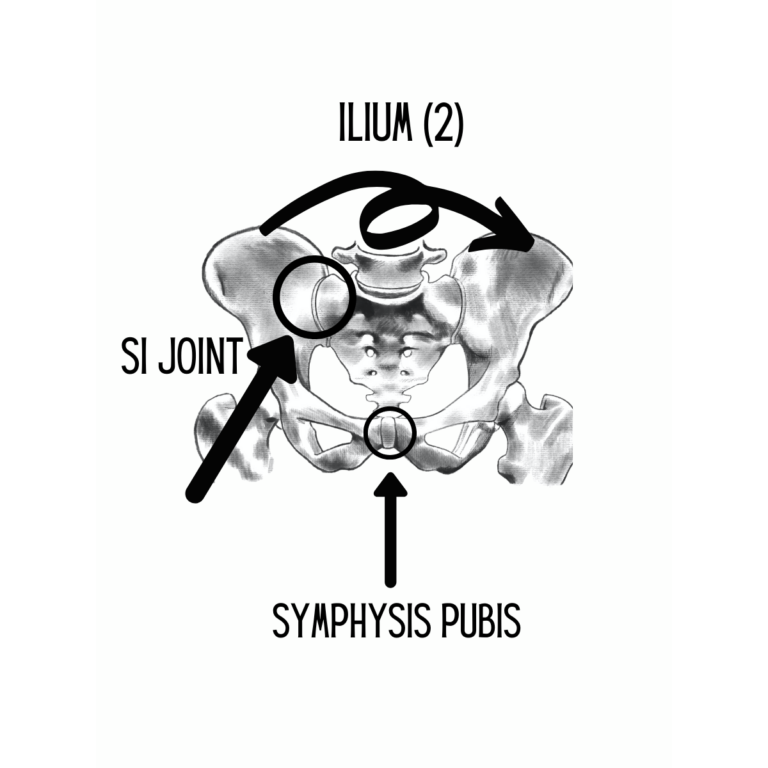 What is Si Dysfunction